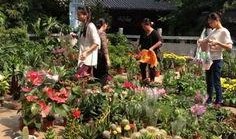 新植物爆料图片大全集最新,探索大自然奇观，揭秘植物界的神秘新成员