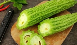 八卦吃瓜第四季免费观看